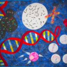 DNA quilt 2